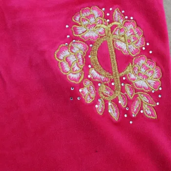 Pavasarį / Rudenį / Moterų Prekės Aksomo audinio Mados Kostiumai Veliūras kostiumas moterims Sekti pavyzdžiu Hoodies ir Kelnės Rose red