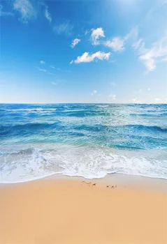 Laeacco Vasaros Mėlynas Dangus, Jūra, Paplūdimys Bangos Vaizdingas Fotografijos Fonas Vinilo Individualų Fotografijos Backdrops Fotostudija