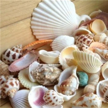 100g Paplūdimio Sumaišyti Kriauklių, Sumaišykite Jūros Kriauklių Shell Amatų Kriauklių, Akvariumo Dekoras Shell