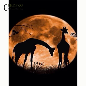 Žirafa mėnulis dovaną, 5D 