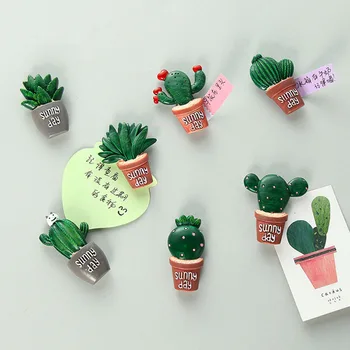 Šaldytuvas Lipdukas Gražus Kaktusas Sultingi Augalai, Šaldytuvas Apdailos Magnetinis Lipdukas Šaldytuvas