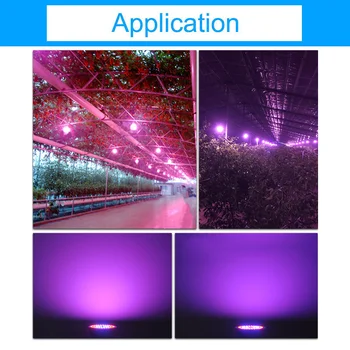 Led grow Light E27 E14 GU10 MR16 110V, 220V led lempa augalų auga šviesos Pilno Spektro Augalų Lempos Augalams Hydroponic Sistema