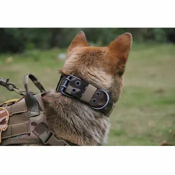 FAROOT 1Pcs Karinis Taktinis Reguliuojamas Šunų Mokymo Apykaklės Nailono Pavadėlio MetalBuckle Šunų Antkakliai M-XL
