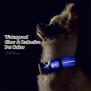 Atsparus vandeniui šunų antkaklis LED šviesos atšvaitais, naminių gyvūnėlių Apykaklės Naktį Saugos Švyti Apykaklės USB Įkrovimo A65
