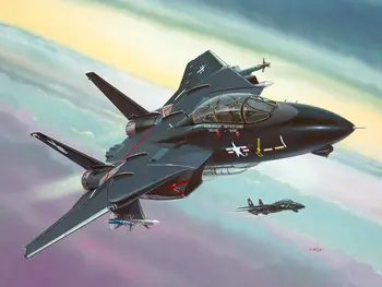 Kartu modelį, karinis lėktuvas F-14 Tomcat 