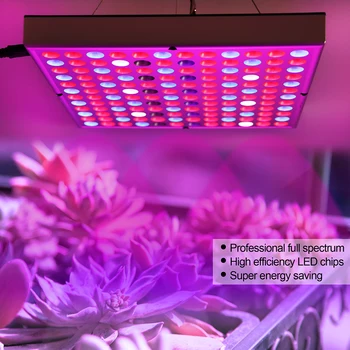 Universalus Augalų Šviesos Kolegijos ekonomikos Augimo Žibintas Už Visą Spektrą Fito Lempos Hydroponic Augalų LED Augti Šviesos efektą Sukeliančių Augalų Auga