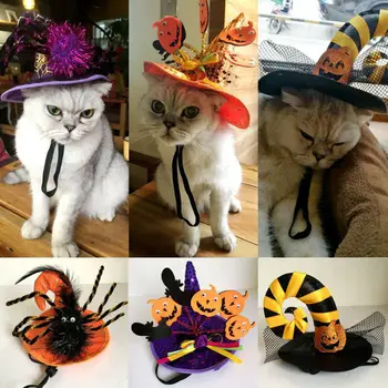 Naminių Kačių ir Šunų Helovinas Kepurės Kostiumai Voras Moliūgų Cosplay Bžūp Hat-Šuo, Katė Ragana Wizard Hat Helovinas Šalys