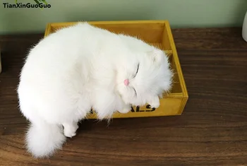 Modeliavimo balta katė sunku modelio 19x14cm,polietileno&kailiai raibsta katė prop rankdarbių namų baldų dekoravimo, dovanų s1315