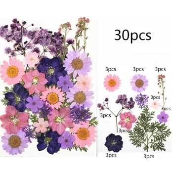 Džiovintos Gėlės UV Dervos Dekoratyvinių Natūralių Gėlių Lipdukai 3D Sausas Grožio Decal