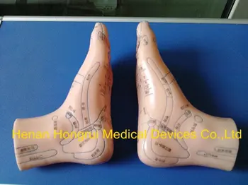 Modelis Anatomija Profesinė Medicinos Pėdų Masažas 12 CM