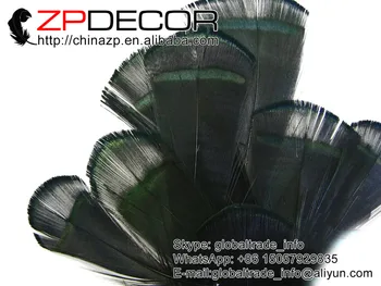 ZPDECOR 200pieces/2 grupė-4inch(5-10cm) Dažyti Juoda Panele Amherst Fazanas Tippet Plunksnų Pigiai Parduoti