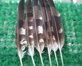 100vnt gražus gamtos erelio plunksnų 30-35 cm 12-14 colių Gražus juostele modelis
