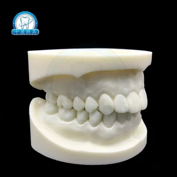 2vnt Baltos spalvos korundo preparato dantų modelio detal praktikos dantų ertmės porceliano mdoel
