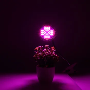 48W Visą spektrą Augalų Auga Lemputė, Led Lempos apšvietimas Sėklos hidro Gėlių Šiltnamio efektą sukeliančių Daržovių Patalpų sodo E27 fito growbox