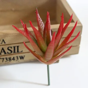 Dirbtinis Sultingi Augalų Aloe Sodo Namų Vestuvių Dekoro Micro Kraštovaizdžio Puošmena 