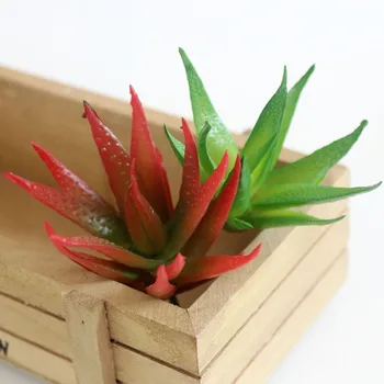Dirbtinis Sultingi Augalų Aloe Sodo Namų Vestuvių Dekoro Micro Kraštovaizdžio Puošmena 