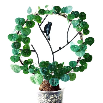 Ekranas Augalų Pinučių Žirnių Vijokliniai Augalai Sodo Ivy Gėlių, Daržovių, Patalpų Puodą Rose Agurkai 
