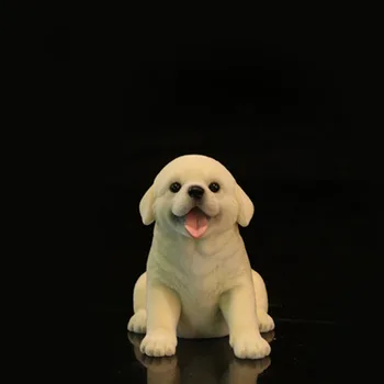 Mr. Z Modeliavimas Gyvūnų šuo, auksaspalvis retriveris šuo Modelis Vaikams, Žaislų, Dovanų Modelis F 12