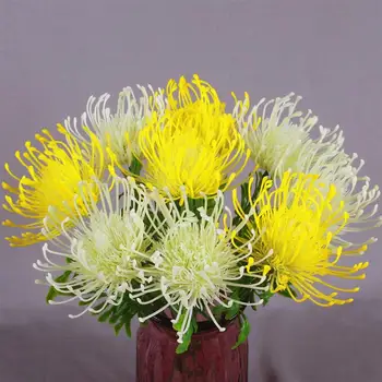 10VNT/12PCS Dirbtinių Gėlių, Dekoratyvinių Protea Netikrą Gėlių Foto Prop Namų Dekoro vestuvėms