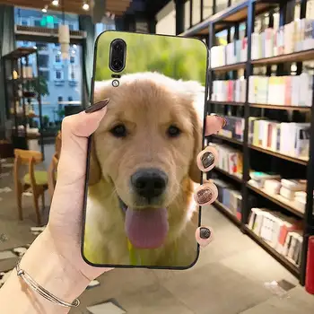 Auksaspalvis retriveris šuo mielas apsauginis Telefono dėklas Skirtas Huawei honor Mate P 10 20 30 40 Pro 10i 9 10 20 8 x Lite