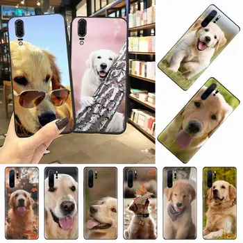 Auksaspalvis retriveris šuo mielas apsauginis Telefono dėklas Skirtas Huawei honor Mate P 10 20 30 40 Pro 10i 9 10 20 8 x Lite
