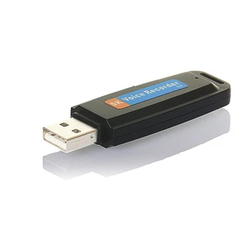 U-Disko Skaitmeninės o Diktofonas Rašiklis, USB 