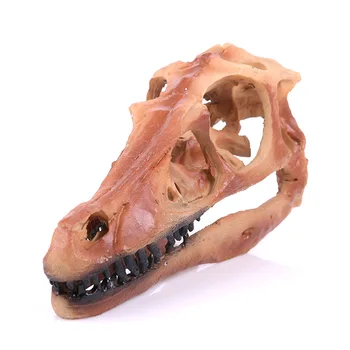 Realus Dinozaurų Kaukolės Skeletas Modeliai Tikroviška Velociraptor Dervos Amatų Kūrybinės Helovinas Ornamentas, Vaikai, Gyvūnai, Dovanos