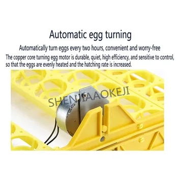 56 kiaušiniai namų inkubatoriuje Automatinis inkubatorius perinti skirtų Kiaušinių mašina 80W Vieno mygtuko LED kiaušinių testeris su temperatūros kontrolės 110/220V