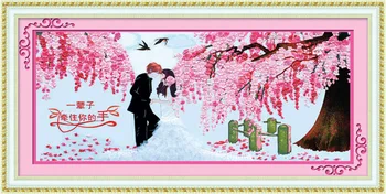 Animacinių filmų Cherry Blossom 