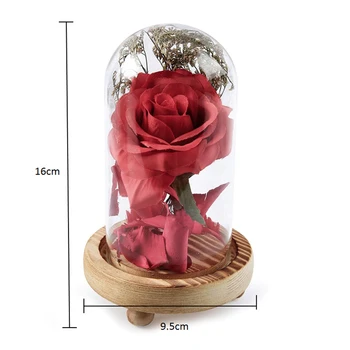 Grožio ir Žvėrys Mediniais Rose Stiklo Kupolas Rose Namų Darbalaukio Dekoravimas Ornamentais Valentino Diena naujųjų Metų Dovana