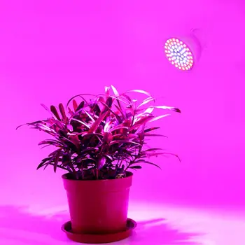 500 352 200 Led Fito Lempa LED Grow Light E27 Augalų Lempa Su ES MUMS Įrašą efektą Sukeliančių Hydroponic Daržovių, Gėlių Fitolampy
