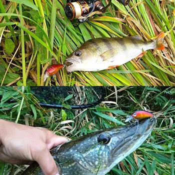 1Pcs Crazy Wobblers Mini Topwater Žvejybos Masalas, 45mm 4g Dirbtinis Japonija Sunku Masalas Crankbait Plūduriuojantis Boso Žvejyba, Žvejybos Reikmenys