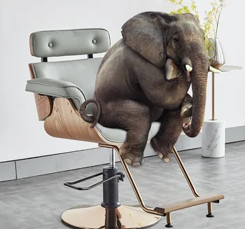 Cadeira para barbearia medienos kirpykla kėdė naudojama barber kėdės