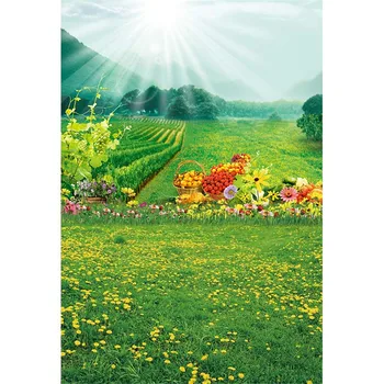 Vaisių Lauko Fonas Fotografijai Bokeh Saulės Atspausdintas Žalias Medžių Geltonos Gėlės, Vaizdingas Kraštovaizdis fotosesiją Fone
