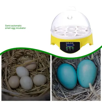 7 Kiaušinių Inkubatorius Paukščių Kiaušinių Inkubatorius, Pusiau automatinė Miniatiūriniai Kiaušinių Inkubatorius Balandžių Namų Inkubatorius