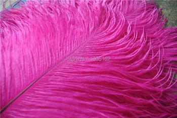 Nemokamas Pristatymas 100vnt 12-14inch(30-35cm) Hot Pink Fushia Stručio Plunksnų plunksnelių už Vestuvių STALO puošmena šaliai dekoro