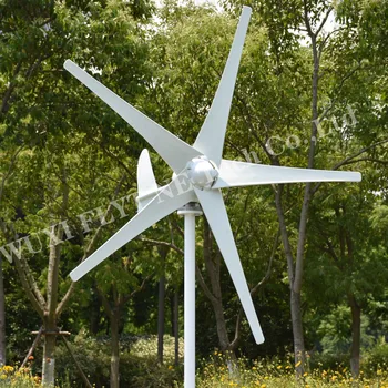 Kinijos Gamykloje 1000W Horizontalios Vėjo Turbinų Generatorių 24V48V 3 5 Peiliukai vėjo malūnas Naudoti Namuose ir Nemokamai Įkroviklis MPPT Valdiklis