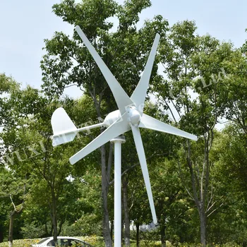Kinijos Gamykloje 1000W Horizontalios Vėjo Turbinų Generatorių 24V48V 3 5 Peiliukai vėjo malūnas Naudoti Namuose ir Nemokamai Įkroviklis MPPT Valdiklis