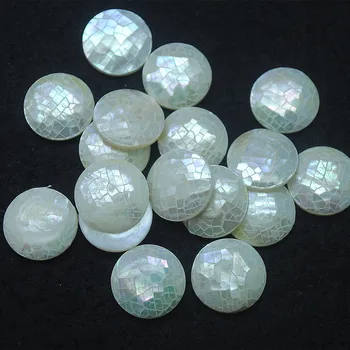 5vnt pobūdžio korpuso granulių cabochons 16mm apvalios formos motina perlų visokių spalvų gera parduodamų daiktų perkamiausių su