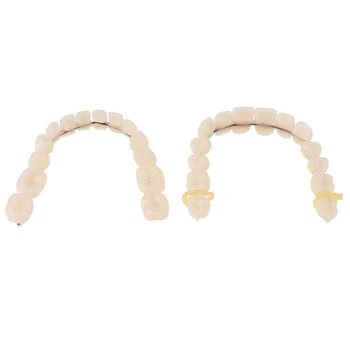 Naudinga Dervos Dantų Protezų Viršutinės Apatinės A2 28Pcs / Set Dirbtinis Kontūrinis dantų Protezų Įrankis