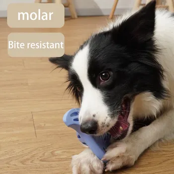 Šuo Kramtomosios Garso Žaislas Natūralaus Kaučiuko Molinis Bite-atsparus Saugus, netoksiškas Šuns Žaislas