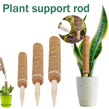 40# Augalų Paramos Moss Polių 3pcs Polių Moss Stick Vijokliniai Augalai Paramos Pratęsimo Augalų Palaiko Sodo Dekoro Priedai