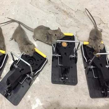 Mouse Trap Profesinės Žiurkių Spąstus 10 Veiksminga Pelės Spąstus Snap Gaudyklė, Graužikų Kontrolės Pelės Catcher