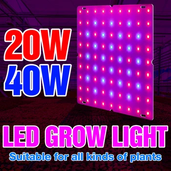 20W 40W Gėlių Fito Lempa LED Full spectrum Augalų Auga Lemputė 220V Šiltnamio efektą sukeliančių Hydroponics Sistema Auginimo Palapines Lauke ES, JAV, UK Plug