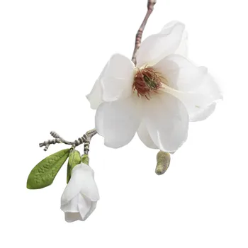 Lapų Magnolia Gėlių Filialas, Džiovintų Žiedų Natūralus Dekoro Netikrą Gėlių Krūva 