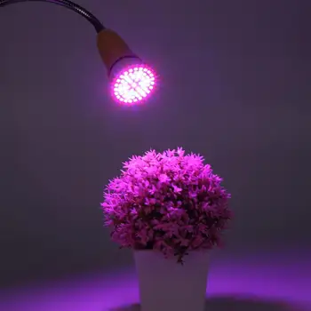 LED Augti Žiburiai Fito Lempa E27 60/126/200/260LED Augti Lempos Patalpų Daržovių, Gėlių Daigų Augalų Augimo Dropshiping