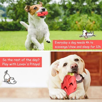 Šunų Kramtyti Žaislus Tinka Paryškinti Šunys, Tvirtas Šuo Žaislai, Vidutinių ir Didelių Šunų, Šunų Interaktyvus Terapijos Žaislai