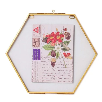 Kabo Šešiakampis Herbariumo Žalvario, Stiklo Rėmas Paspaudus Gėlės, Džiovintos Gėlės, Dvigubo Stiklo, Plūduriuojantis Rėmelio Stilių