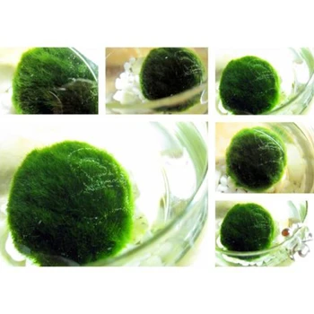 Dirbtinis Moss Ball Žuvų Bakas Akvariumo Dekoras Ornamentu 2.5-4.5 cm Natūralių Augalų M0XD