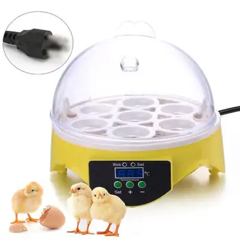 Mini 7 Kiaušinių Inkubatorius Paukščių Inkubatorių Brooder Skaitmeninis Temperatūros Perykla Kiaušinių Inkubatorius Hatcher, Vištienos, Antis, Paukštis, Karvelis UK Pl